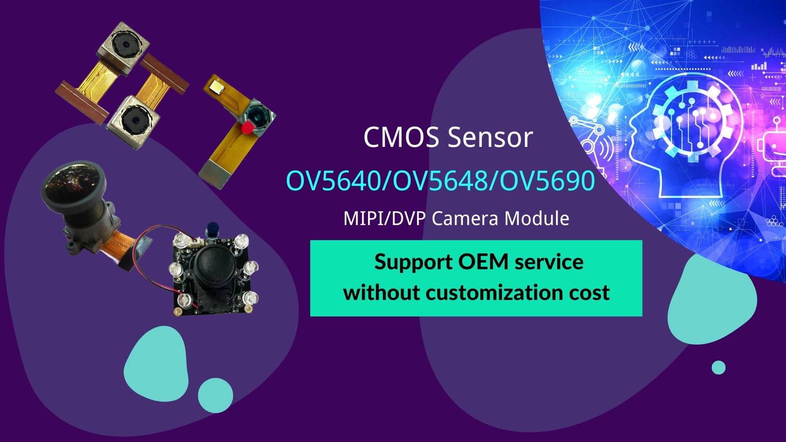 OV5640 OV5648 OV5675 OV5690 OV5695 CMOS Sensor 5MP MIPI DVP Face Recognition Camera Module