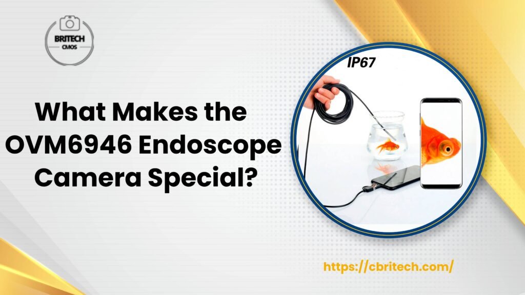 What Makes the OVM6946 Endoscope Camera Special? - Professional Camera ...